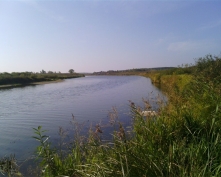 Купить  в Подмосковье, Ленинградское ш.