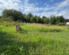 Купить  в Подмосковье, 