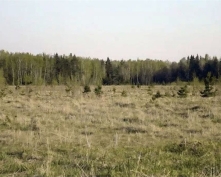 Купить  в Подмосковье, Ленинградское ш.