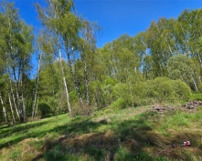 Купить  в Подмосковье, Каширское ш.