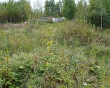 Купить  в Подмосковье, Ленинградское ш.