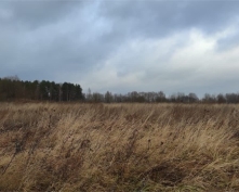 Купить  в Подмосковье, Калужское ш.