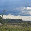 Коттеджный поселок Знаменка Парк: . Минское ш., 115 км от МКАД