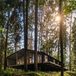 Коттеджный поселок Скандик Форест: . Симферопольское ш., 55 км от МКАД