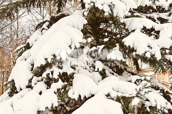Коттеджный поселок Миллениум Парк: . Новорижское ш., 19 км от МКАД