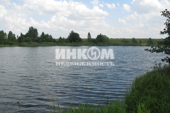 Коттеджный поселок Знаменка Парк: . Минское ш., 115 км от МКАД