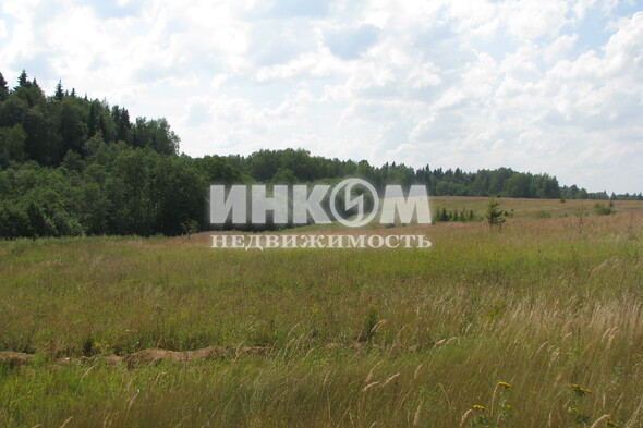 Коттеджный поселок Знаменка Парк: . Минское ш., 115 км от МКАД