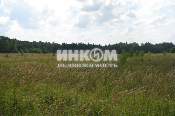 Коттеджный поселок Знаменка Парк: . Минское ш., 115 км от МКАД