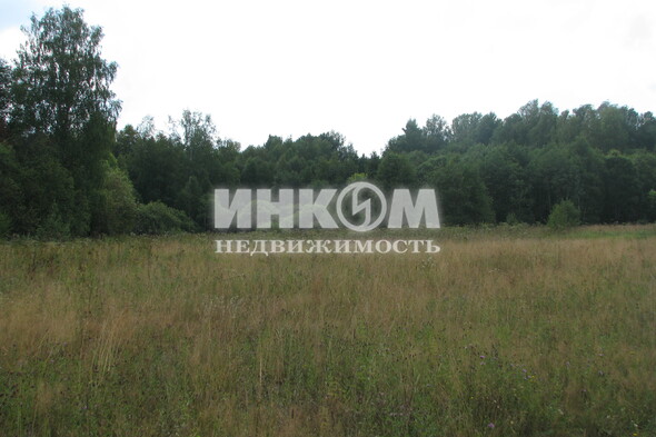 Коттеджный поселок Знаменка Парк: . Минское ш., 115 км от МКАД