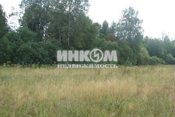 Коттеджный поселок Знаменка Парк: . Минское ш., 115 км от МКАД