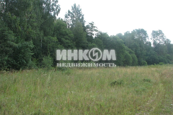 Коттеджный поселок Знаменка Парк: . Минское ш., 115 км от МКАД