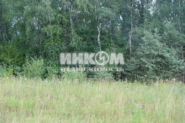 Коттеджный поселок Знаменка Парк: . Минское ш., 115 км от МКАД
