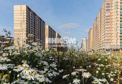 Изображение №26 для ЖК Пригород Лесное