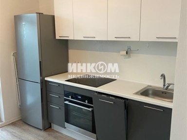 1-комнатная квартира, Мисайлово д, Пригородное ш, 6