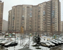 Купить однокомнатную квартиру в Подмосковье, Триумфальная ул