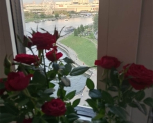 Купить однокомнатную квартиру в Подмосковье, Красногорский б-р