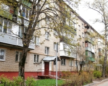 Купить однокомнатную квартиру в Подмосковье, Льва Толстого ул