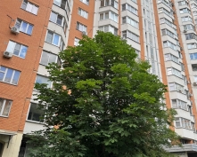 Купить двухкомнатную квартиру в Подмосковье, Успенская ул