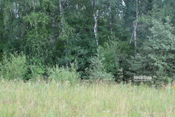 Коттеджный поселок КП Знаменка Парк: Участки. Минское ш., 115 км от МКАД