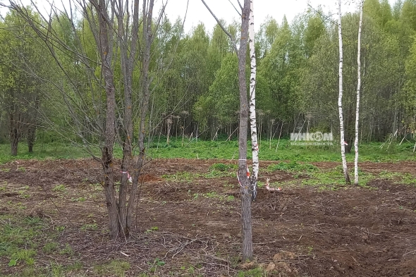 Коттеджный поселок Изумрудный 2: Участки. Дмитровское ш., 56 км от МКАД