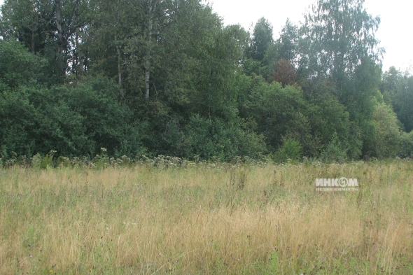 Коттеджный поселок КП Знаменка Парк: Участки. Минское ш., 115 км от МКАД