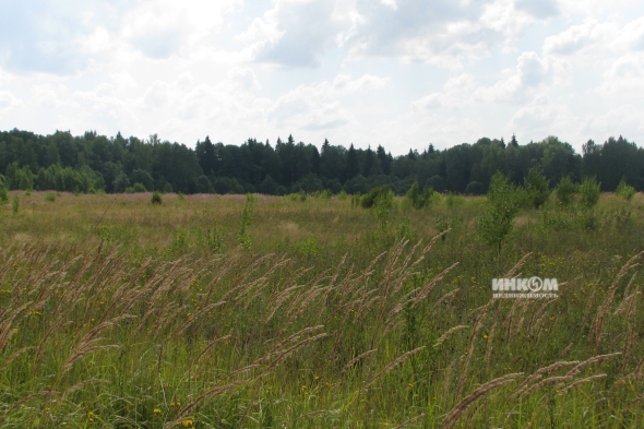 Коттеджный поселок КП Знаменка Парк: Участки. Минское ш., 115 км от МКАД