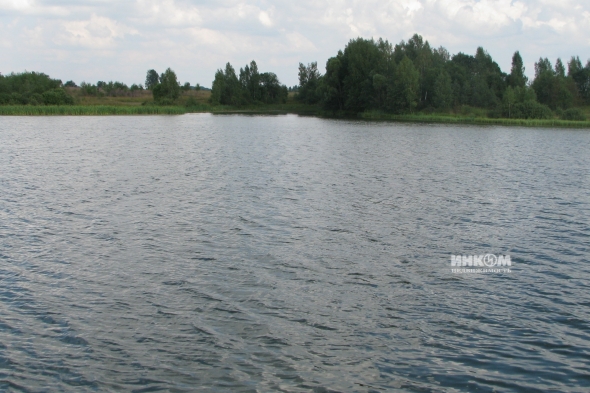 Коттеджный поселок Знаменка Парк: Участки. Минское ш., 115 км от МКАД