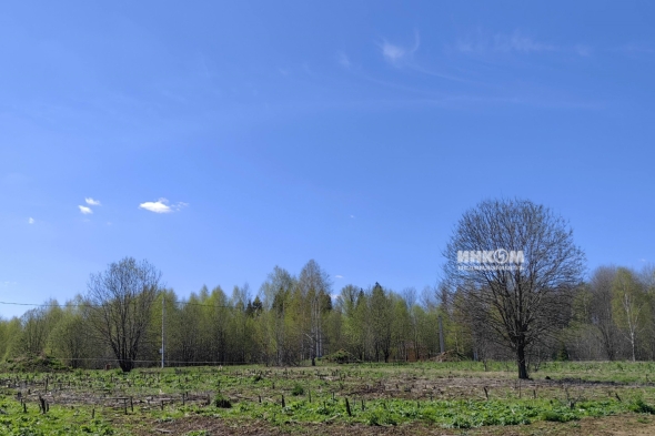 Коттеджный поселок Изумрудный 2: Участки. Дмитровское ш., 56 км от МКАД