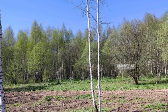 Коттеджный поселок Изумрудный 2: Участки. Дмитровское ш., 56 км от МКАД