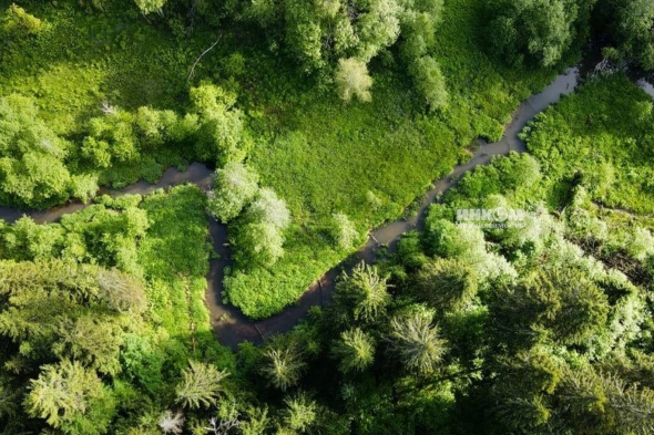 Коттеджный поселок Изумрудный 2: Участки. Дмитровское ш., 56 км от МКАД