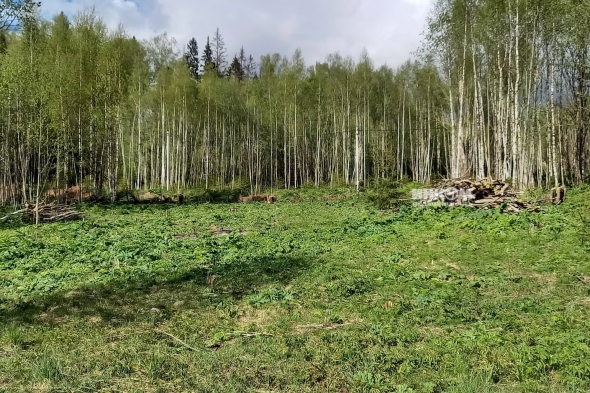 Коттеджный поселок Изумрудный 2: Участки. Дмитровское ш., 56 км от МКАД