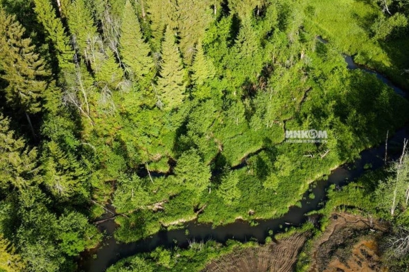 Коттеджный поселок Изумрудный 2: Участки. Дмитровское ш., 56 км от МКАД