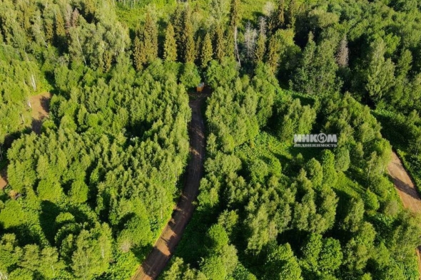 Коттеджный поселок Изумрудный 2: Участки. Дмитровское ш., 56 км от МКАД