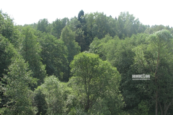 Коттеджный поселок КП Знаменка Парк: Участки. Минское ш., 115 км от МКАД